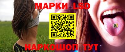 МДПВ Гатчина