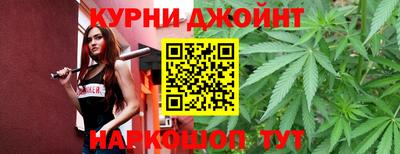 МДПВ Гатчина