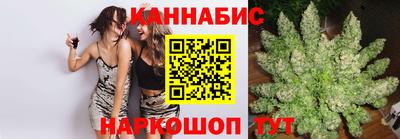 МДПВ Гатчина
