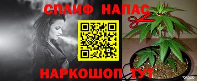 МДПВ Гатчина