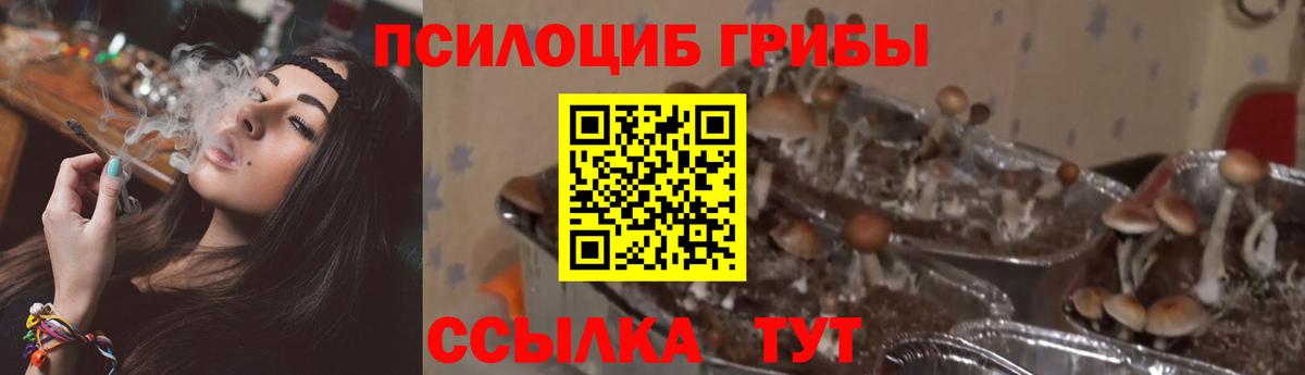 Галлюциногенные грибы GOLDEN TEACHER Муром